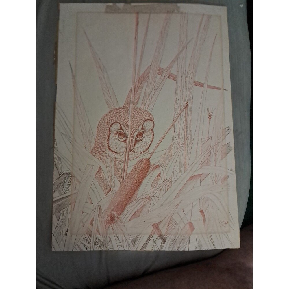 Vintage Wildlife Owl Signed Connie McClelland 77